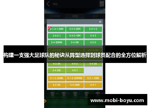 构建一支强大足球队的秘诀从阵型选择到球员配合的全方位解析