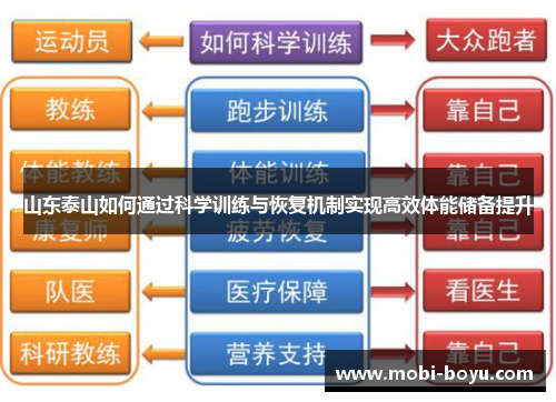 山东泰山如何通过科学训练与恢复机制实现高效体能储备提升