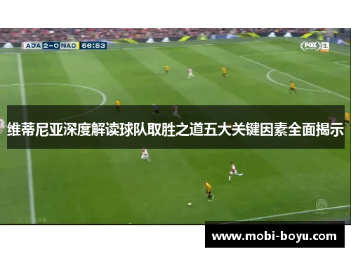 维蒂尼亚深度解读球队取胜之道五大关键因素全面揭示